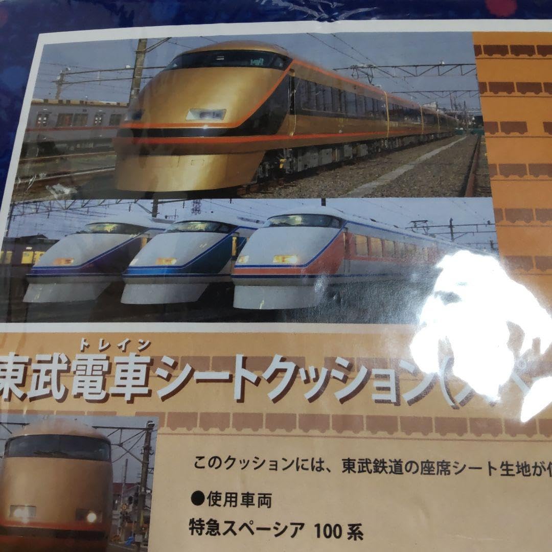 東武100系スペーシア 座席 座面 鉄道部品 鉄道古物 鉄道廃品 東武100系スペーシア 座席 座面 鉄道部品 鉄道古物 鉄道廃品